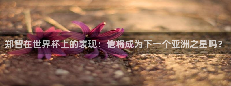 世界杯赛程2026：郑智在世界杯上的表现：他将成为下一个亚洲之星吗？