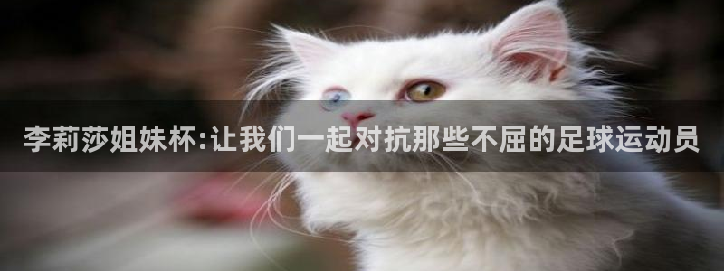 足球世界杯2026年赛程时间表：李莉莎姐妹杯:让我们一起对抗那些不屈的足球运动员