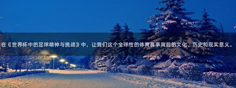 世界杯小组赛赛程：在《世界杯中的足球精神与挑战》中，让我们这个全球性的体育赛事背后的文化、历史和现实意义。