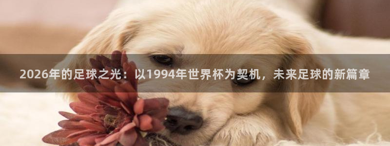 法国杯2026赛程表：2026年的足球之光：以1994年世界杯为契机，未来足球的新篇章