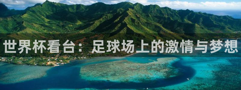 2026足球世界杯赛程时间表：世界杯看台：足球场上的激情与梦想