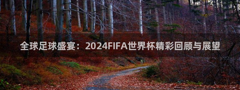 26世界杯：全球足球盛宴：2024FIFA世界杯精彩回顾与展望