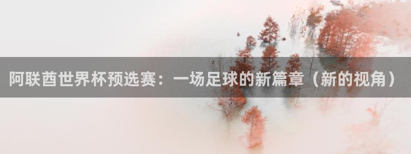 世界杯预选赛直播：阿联酋世界杯预选赛：一场足球的新篇章（新的视角）