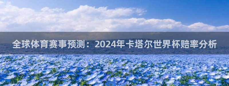 世界杯球赛：全球体育赛事预测：2024年卡塔尔世界杯赔率分析