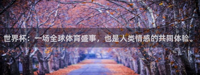 2026世界杯对阵图：世界杯：一场全球体育盛事，也是人类情感的共同体验。