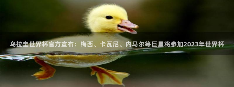 世界杯亚洲预选赛18强赛程：乌拉圭世界杯官方宣布：梅西、卡瓦尼、内马尔等巨星将参加2023年世界杯