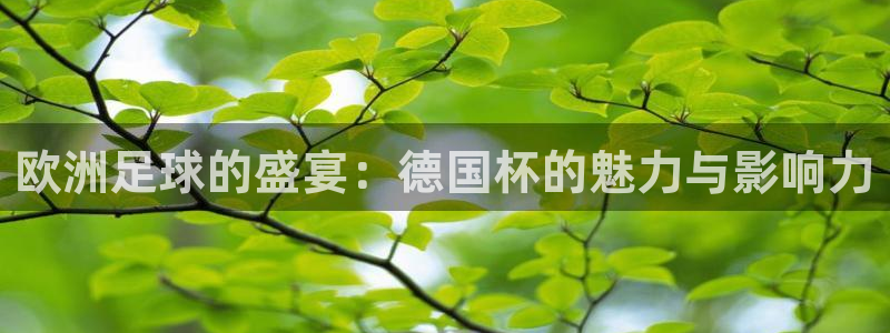 世预赛直播：欧洲足球的盛宴：德国杯的魅力与影响力