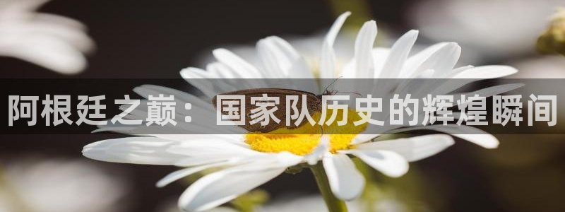 联赛杯直播：阿根廷之巅：国家队历史的辉煌瞬间